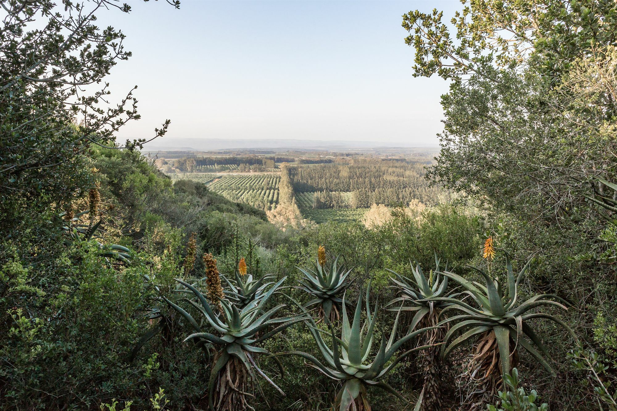אדו Hitgeheim Country Lodge מראה חיצוני תמונה
